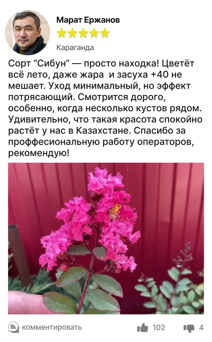Отзыв покупателя 1
