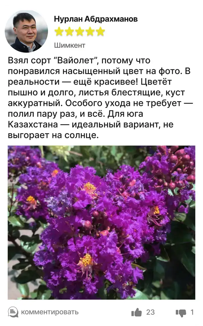 Отзыв покупателя 2