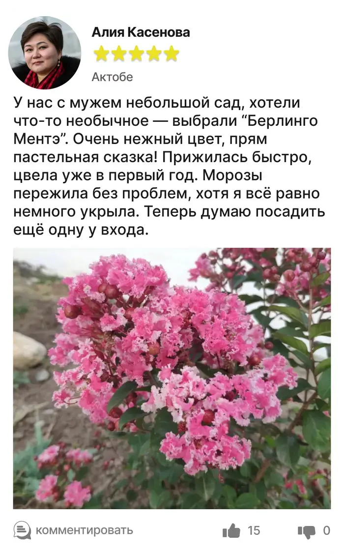 Отзыв покупателя 3