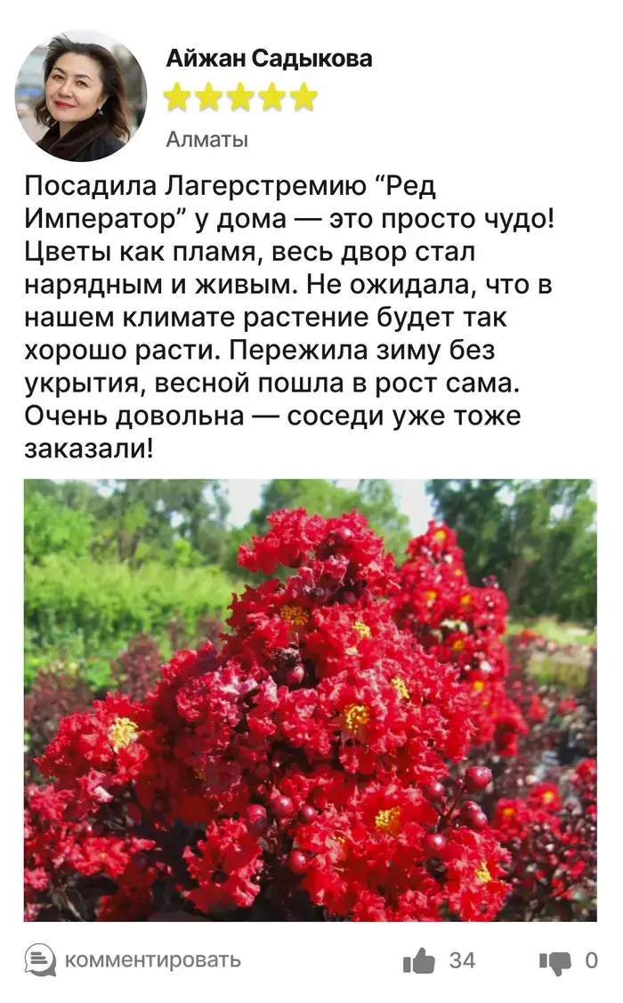 Отзыв покупателя 4