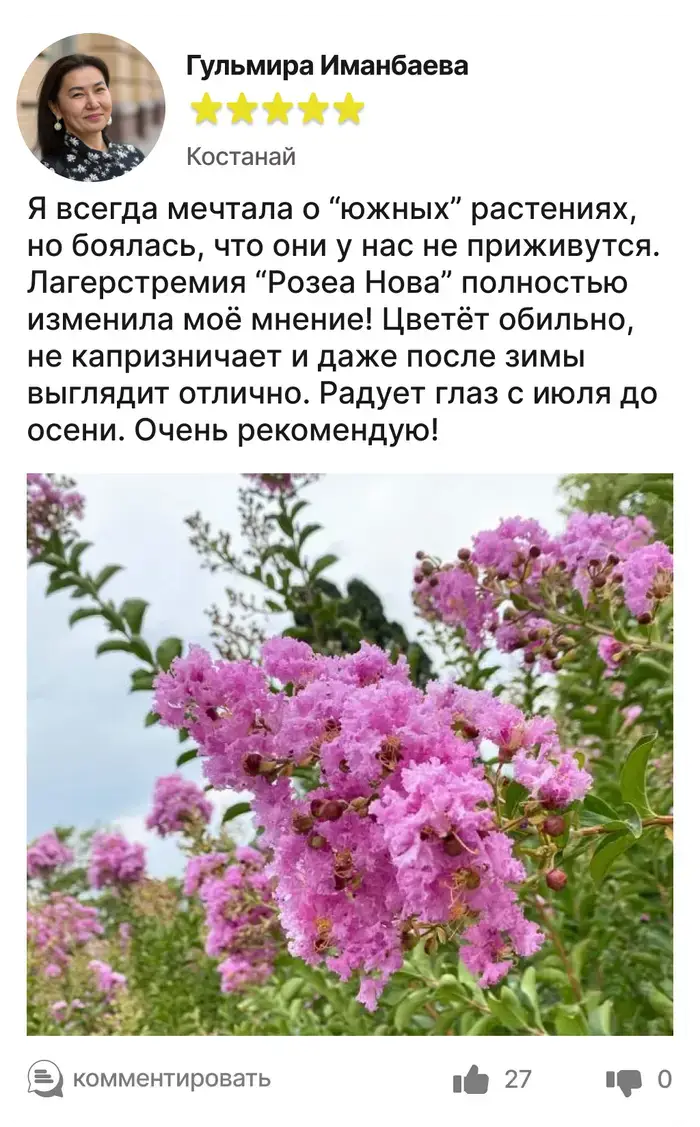 Отзыв покупателя 5